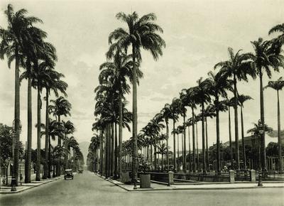 Avenida e canal do Mangue