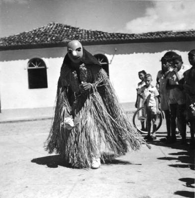 Bumba meu boi, festa popular