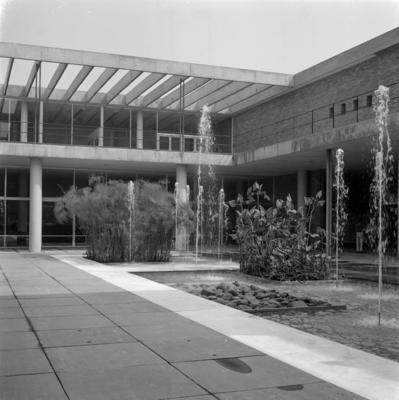 Museu de Arte Moderna - MAM