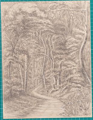 Approach to The Spot - Corcovado - 30th December 1854