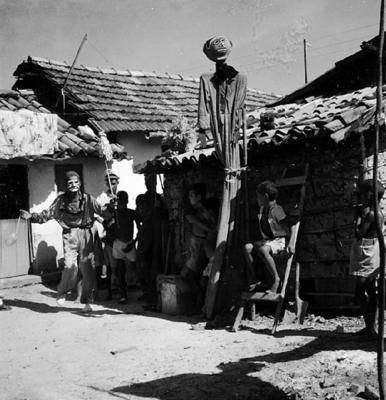 Bumba Meu Boi, festa popular