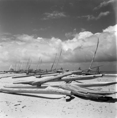 Jangadas e jangadeiros