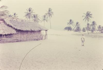 Vila de pescadores no litoral sul, próximo ao Quilombo de Sibaúma