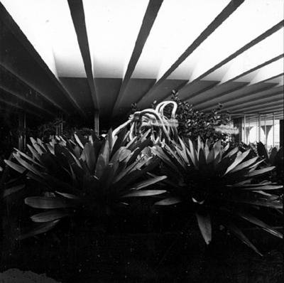 "O Canto da Noite", escultura de Maria Martins, no Salão Nobre