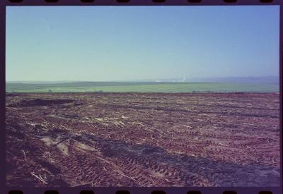 Produção de filme institucional sobre usinas de açúcar