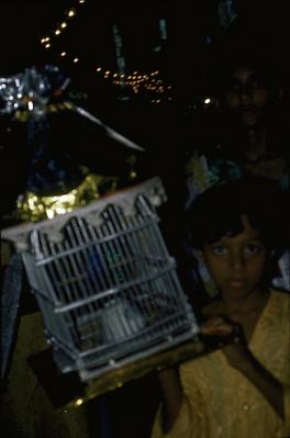 Série Rio São Francisco