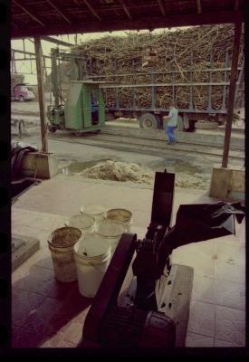 Produção de filme institucional sobre usinas de açúcar