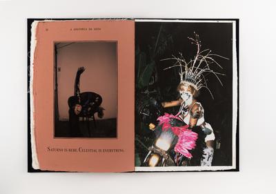 A anatomia da água: livro 1 da série Corpoflor