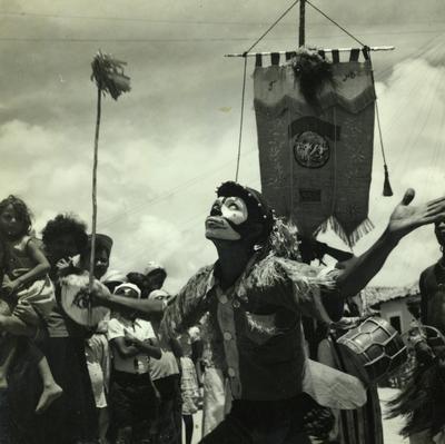 Bumba Meu Boi, festa popular