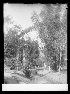 Jardim Botânico, aleias e ponte