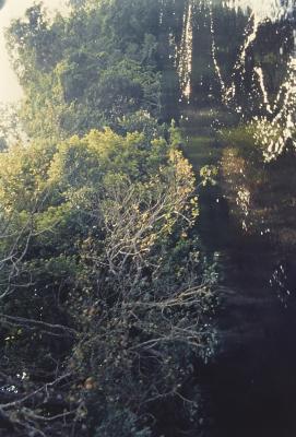 Expedição Pico da Neblina