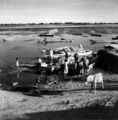 Cena do Rio São Francisco