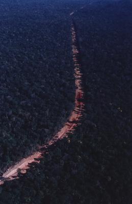 Vista aérea de estrada em meio à floresta