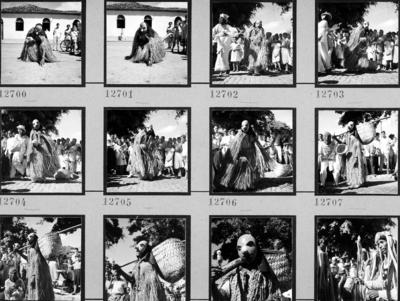 Bumba meu boi, festa popular