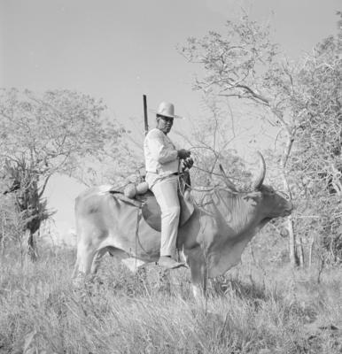 Vaqueiro - Ilha Mexiana