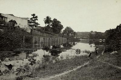 Igarapé de São Vicente