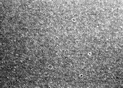 Detalhe de tecidos Lanifício Fileppo S.A.