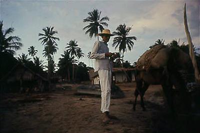 Série Caranguejeiras