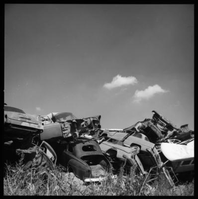 Campanha publicitária da Federação Nacional das Empresas de Seguros Privados (Fenaseg) para seguro