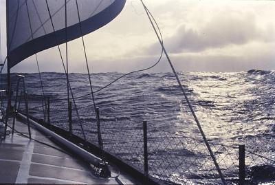 Aventuras de Igor na Antártida