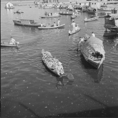 Palafitas flutuantes