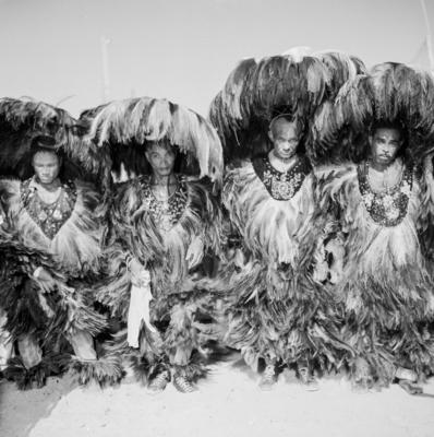 Bumba meu boi, festa popular