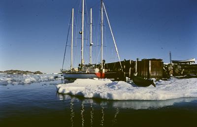 Aventuras de Igor na Antártida
