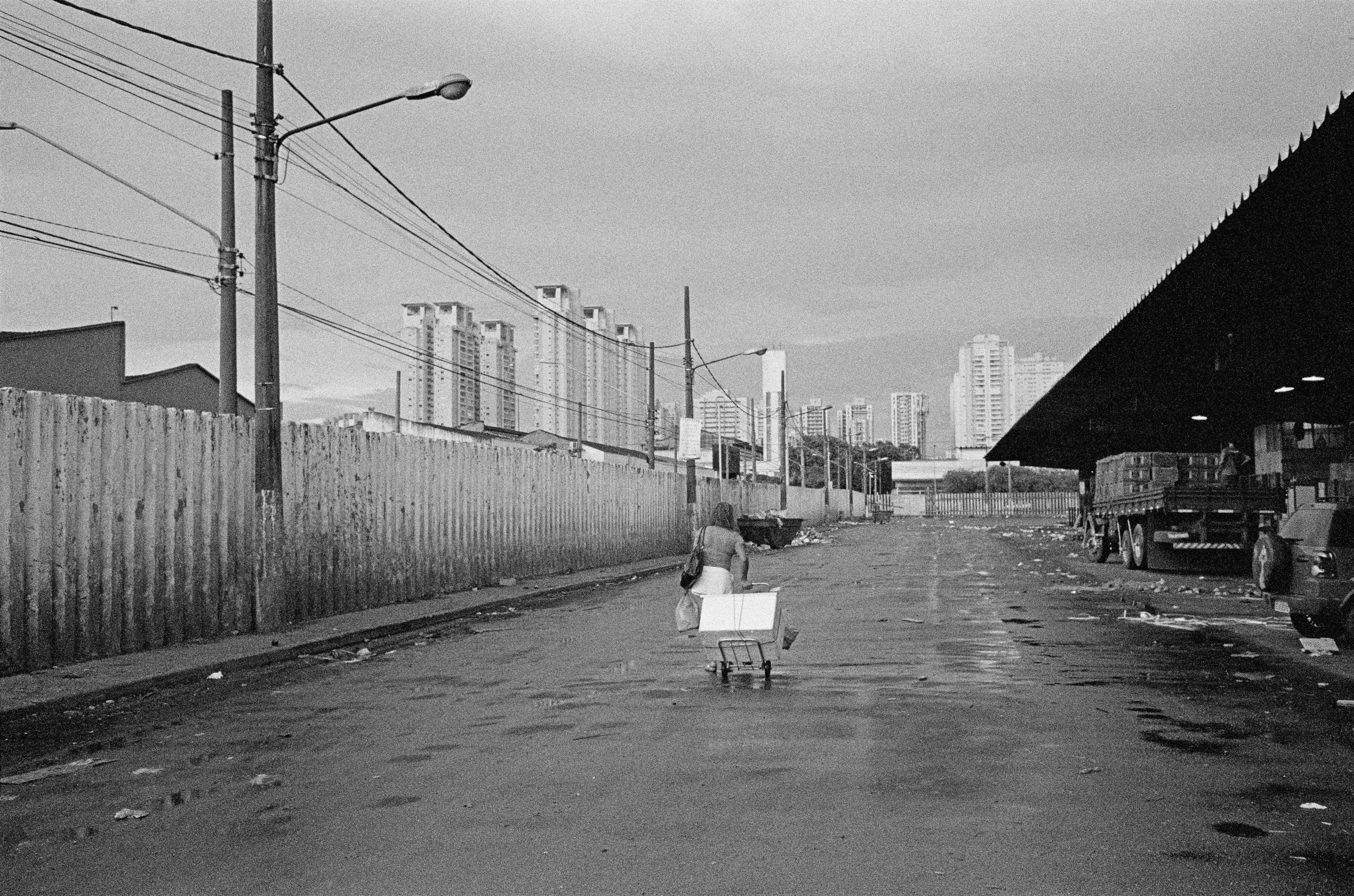 São Paulo - CEAGESP