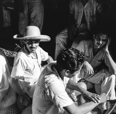 Série "Estrada de Ferro Tocantins"