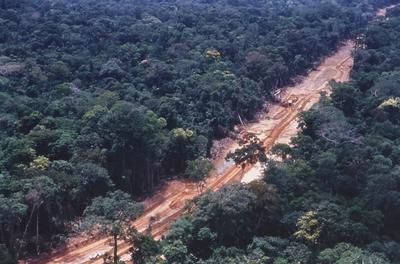 Vista aérea de estrada em meio à floresta