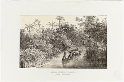 (As margens do Rio Itaípe na Província da Bahia)