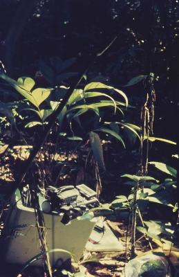 Equipamentos de vídeo secam ao sol. Expedição Pico da Neblina