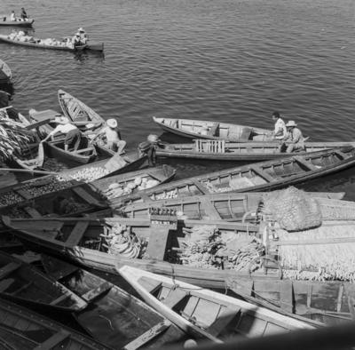 Palafitas flutuantes