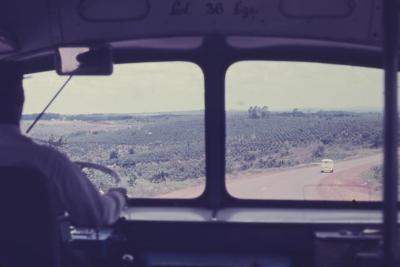Próximo à Londrina