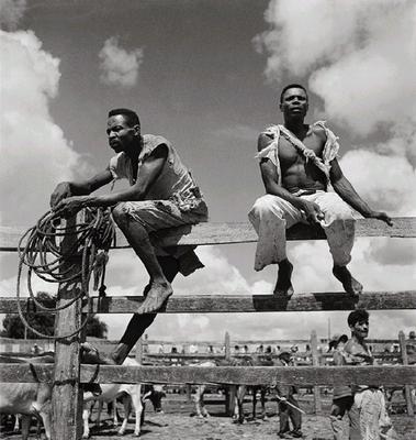 Vaqueiros nordestinos