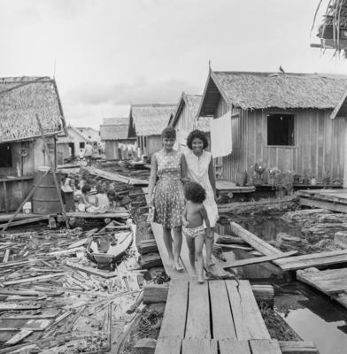 Palafitas flutuantes