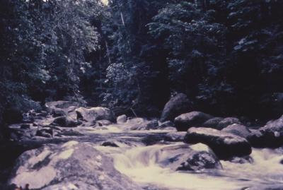 Expedição Pico da Neblina