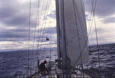 Aventuras de Igor na Antártida