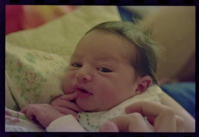 Nascimento da filha de Laís Bodanzky e Luiz Bolognesi