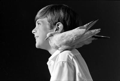 Campanha publicitária da agência Norton - cartão de Natal 1968