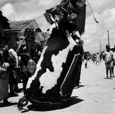 Bumba Meu Boi, festa popular