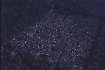 Vista aérea de área desmatada em meio à floresta