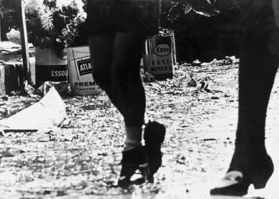 Paranoia: “Os arranha-céus de carniça"