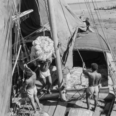 Homens descarregando juta