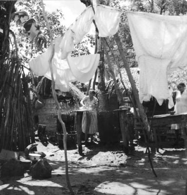 São Luís, lavadeiras