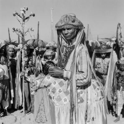 Bumba meu boi, festa popular