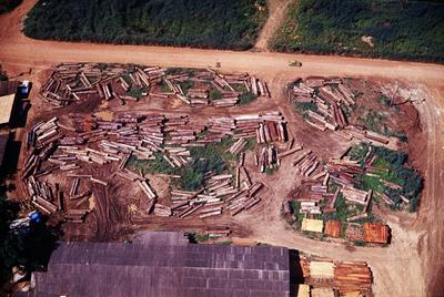 Vista aérea para madeireira