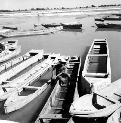 Cena do Rio São Francisco