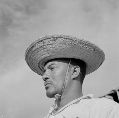 Vaqueiro - Ilha Mexiana