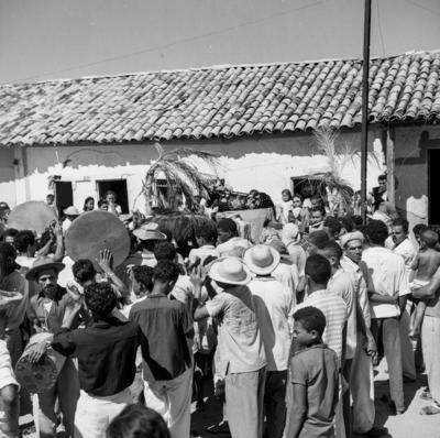 Bumba meu boi, festa popular
